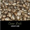 Cacao Kush - Regular Cannabis Seeds - Legacy Line