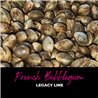 French Bubblegum - Regular Cannabis Seeds - Bubble Line