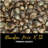 Random Mix x12 - Regular Cannabis Seeds - Mix