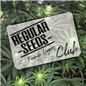 Join the club - Regular Cannabis Seeds - Club