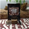 Cacao Kush - Regular Cannabis Seeds - Legacy Line