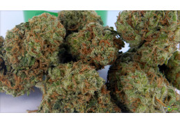 AK-47 Cherry